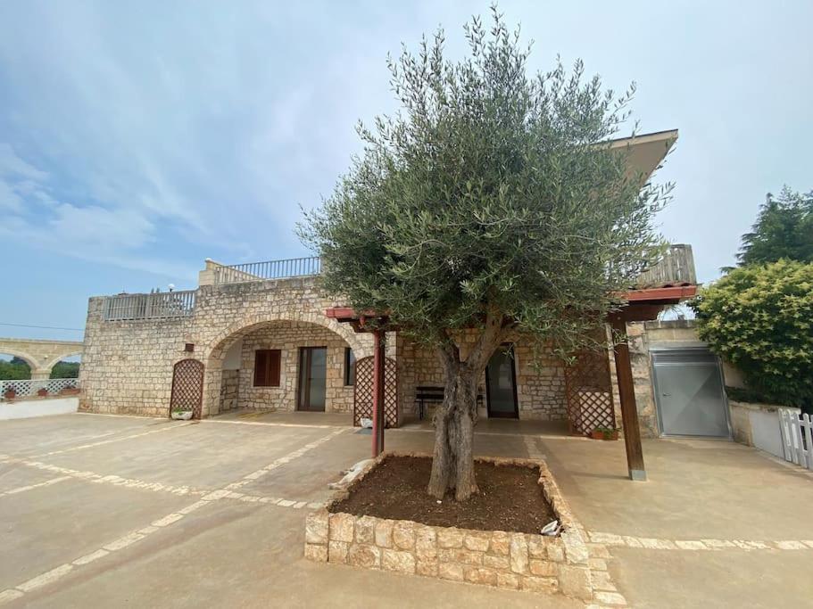 Villa Coco Monopoli Eksteriør billede